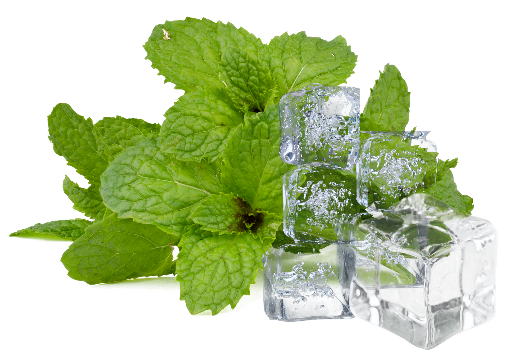 cool mint